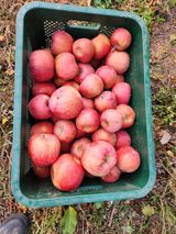 팜모닝 · 게시글 이미지