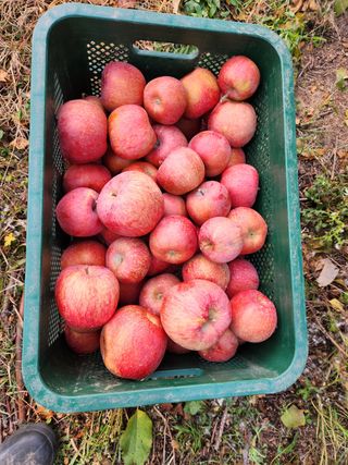 이원정님의 작성글 사진