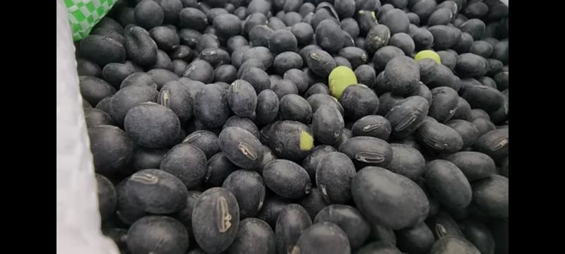 장터 상품 [서리태(콩)] 썸네일