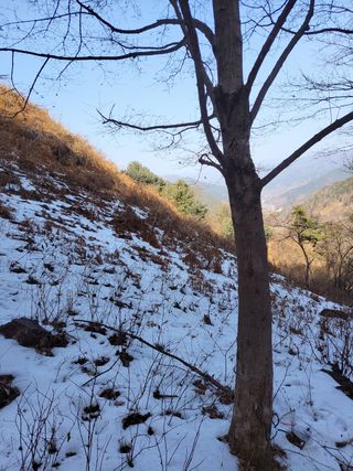 정완희 님의 작성글 사진