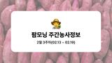 팜모닝 고구마·농사길잡이 게시글 이미지