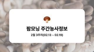 버섯 농사도우미님의 버섯 · 파종작업 작성글 사진