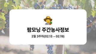 포도 농사도우미님의 포도·농사길잡이 작성글 사진
