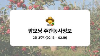 사과 농사도우미님의 사과 · 자연재해•동물피해 작성글 사진