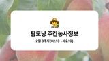 팜모닝 복숭아·농사길잡이 게시글 이미지