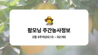 배 농사도우미님의 배·자연재해•동물피해 작성글 사진