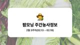 팜모닝 배추·파종•정식 게시글 이미지