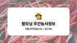 팜모닝 고추·파종•정식 게시글 이미지