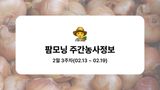 팜모닝 양파·농사길잡이 게시글 이미지