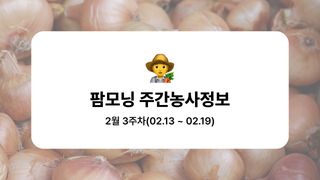 양파 농사도우미님의 양파 · 농사길잡이 작성글 사진