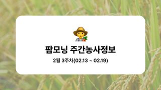 벼 농사도우미님의 벼 · 농사길잡이 작성글 사진