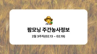 팜모닝 농사도우미님의 기타작물 · 농사길잡이 작성글 사진