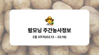 감자 농사도우미님의 감자·농사길잡이 작성글 사진