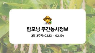 콩 농사도우미님의 콩 · 농사길잡이 작성글 사진