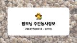 팜모닝 마늘·토양준비 게시글 이미지