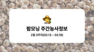 마늘 농사도우미님의 마늘 · 토양준비 작성글 사진