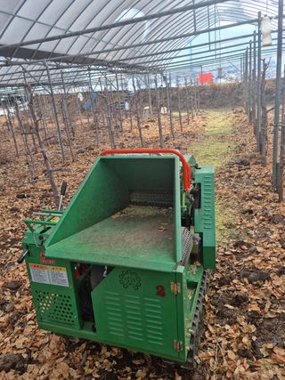 오학봉(멀티팜)님의 기타작물 · 자유게시판 작성글 사진