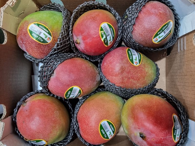 우정주님의 장터 판매 상품 [애플망고 칠레산    4키로 8수 항공] 첨부 사진