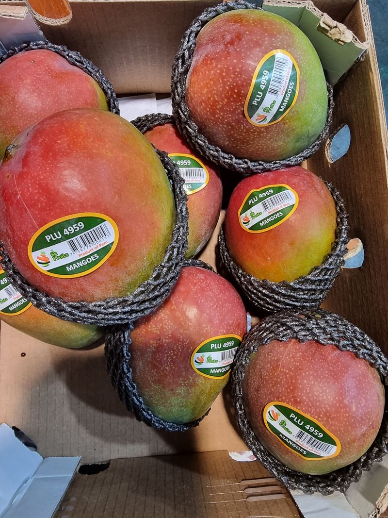 우정주님의 장터 판매 상품 [애플망고 칠레산    4키로 8수 항공] 첨부 사진