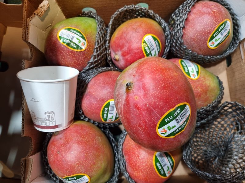 우정주님의 장터 판매 상품 [애플망고 칠레산    4키로 8수 항공] 첨부 사진