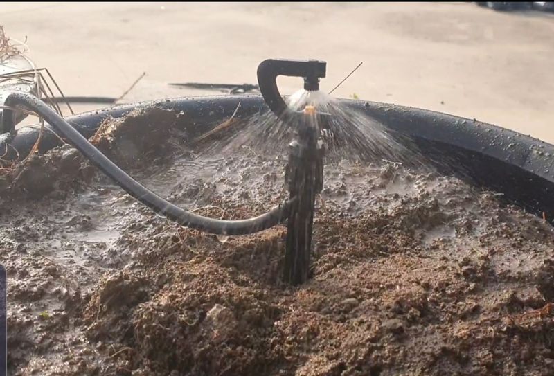 장터 상품 [블루베리용 관수스틱] 썸네일