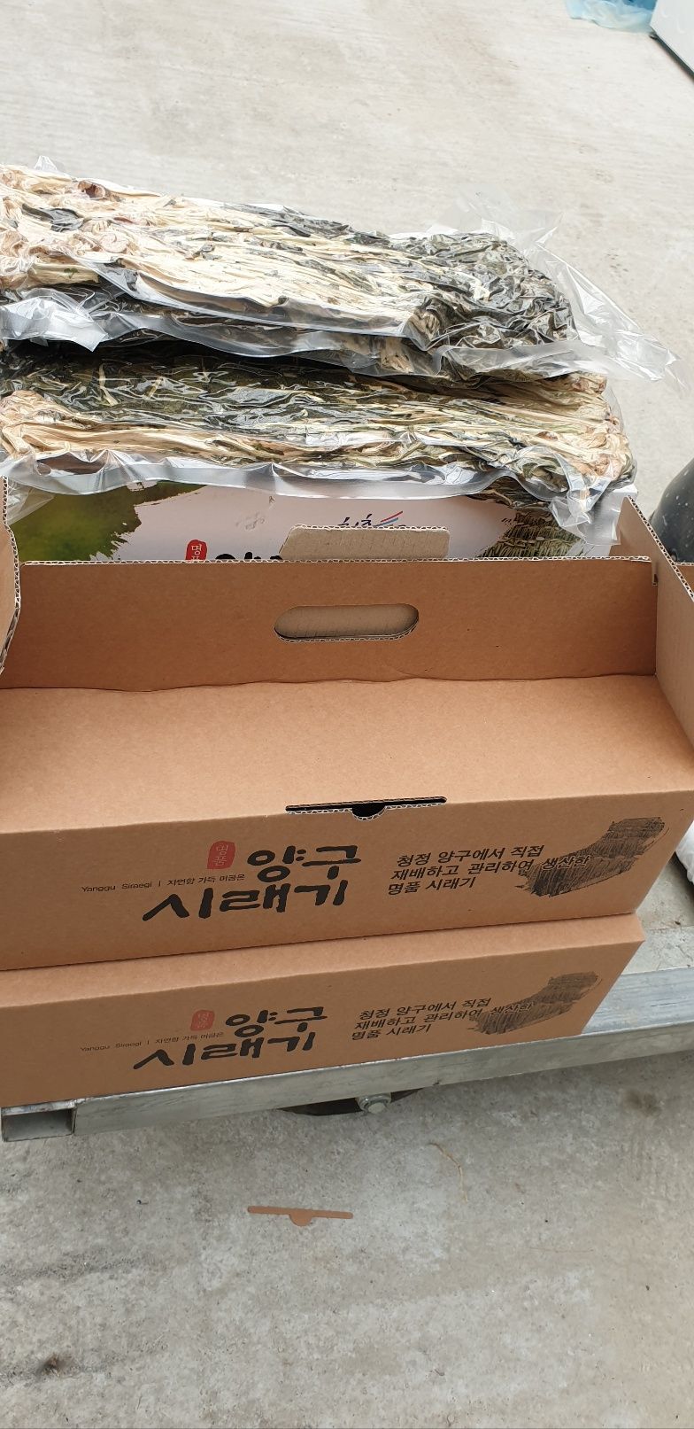 장터 상품 [양구 영도농원 진공시래기1kg] 썸네일
