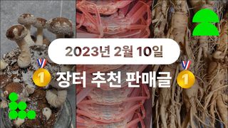 팜모닝님의 팜모닝공식 · 혜택 작성글 사진