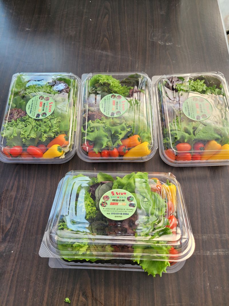 김정임님의 장터 판매 상품 [유럽샐러드모듬상추] 첨부 사진