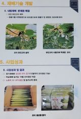 팜모닝 오이·자유게시판 게시글 이미지