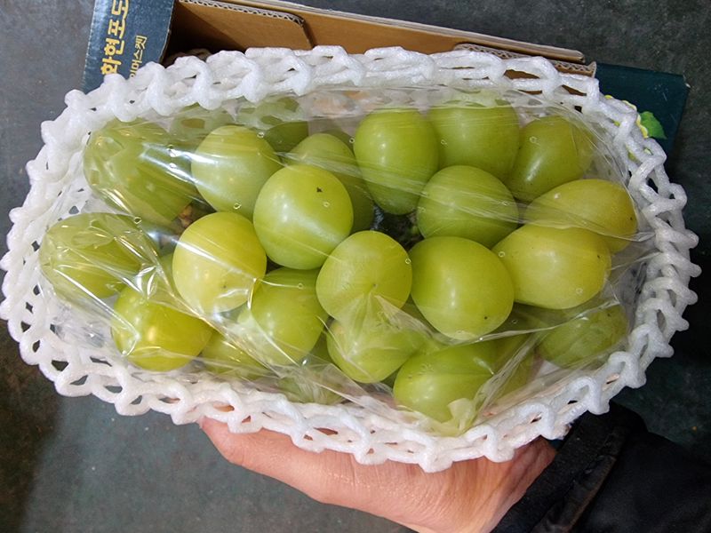 장터 상품 [샤인 머스켓 2키로  3수 왕] 썸네일