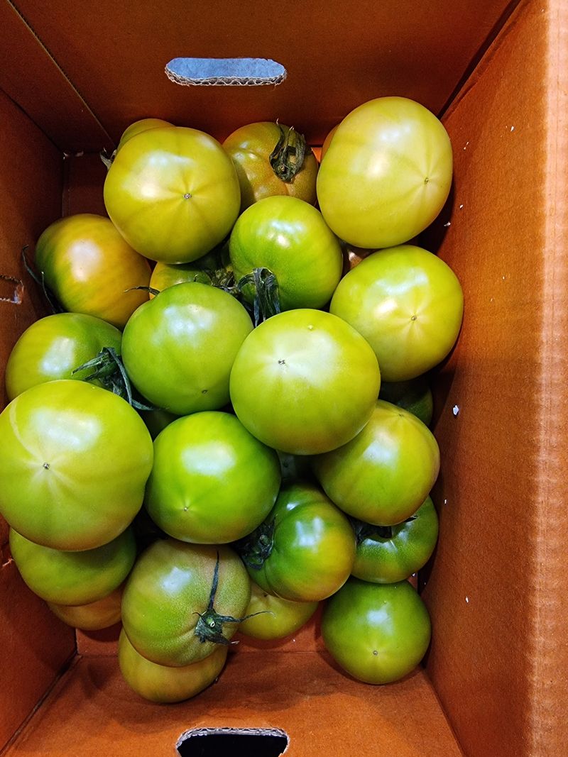 장터 상품 [대저  짭짜리 토마토 2.5키로] 썸네일