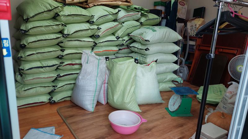 박진하님의 장터 판매 상품 [서리태  청자5호] 첨부 사진