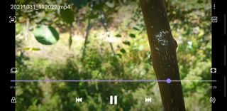 재데렐라님의 기타작물 · 병해충상담 작성글 사진