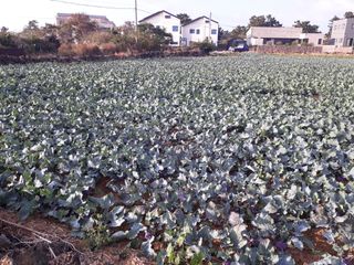 김화석님의 작성글 사진