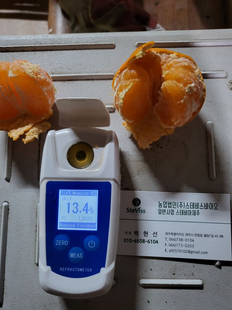 팜모닝회원백현선님의 장터 판매 상품 [온주귤10키로.택비포함.] 첨부 사진