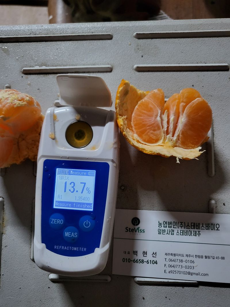 장터 상품 [온주귤10키로.택비포함.] 썸네일