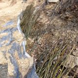 팜모닝 · 게시글 이미지