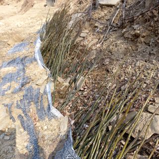 까두까두 님의 작성글 사진