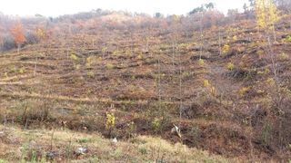 까두까두 님의 작성글 사진