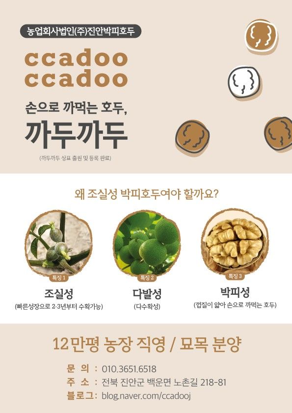 까두까두 님의 장터 판매 상품 [조실성박피호두 묘목] 첨부 사진