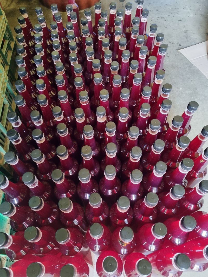 장터 상품 [오미자청 750그람] 썸네일