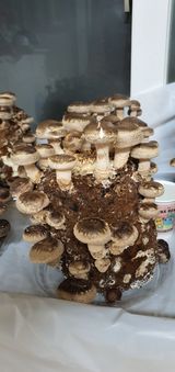 팜모닝 · 게시글 이미지