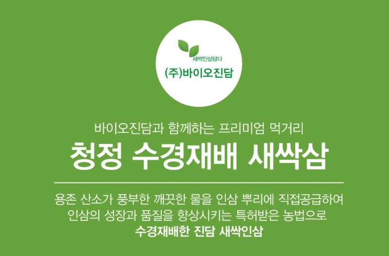 바이오진담 ㅡ새싹삼님의 장터 판매 상품 [새싹삼 100뿌리 ] 첨부 사진