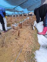 팜모닝 · 게시글 이미지