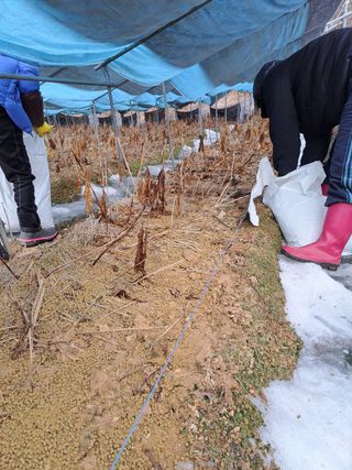 주)미산 조전무님의 작성글 사진