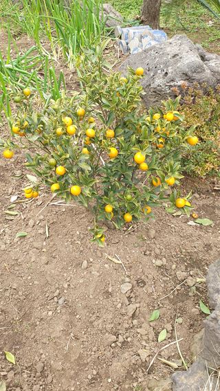 주)미산 조전무님의 작성글 사진