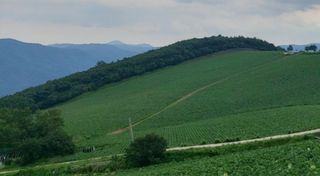 주)미산 조전무님의 작성글 사진