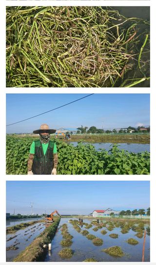 주)미산 조전무님의 작성글 사진