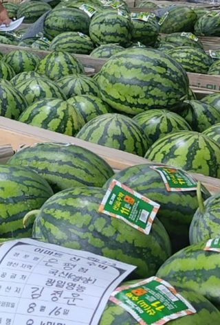 주)미산 조전무님의 작성글 사진