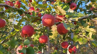 주)미산 조전무님의 작성글 사진
